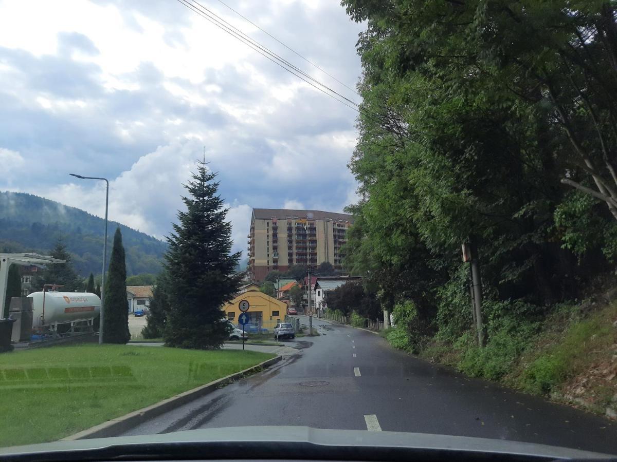 Apartament Erika ซินายา ภายนอก รูปภาพ