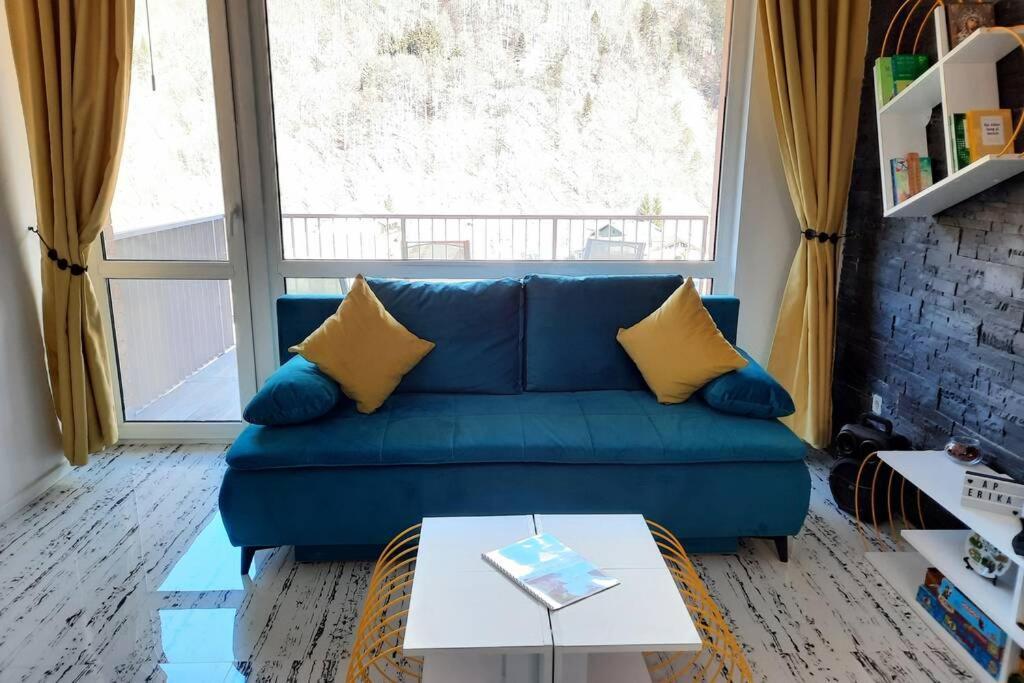 Apartament Erika ซินายา ภายนอก รูปภาพ