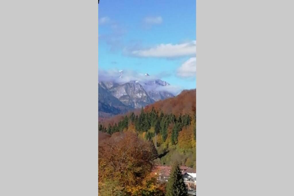 Apartament Erika ซินายา ภายนอก รูปภาพ
