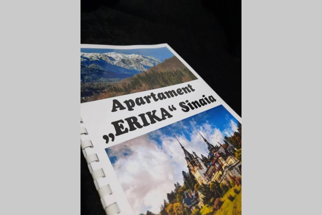 Apartament Erika ซินายา ภายนอก รูปภาพ