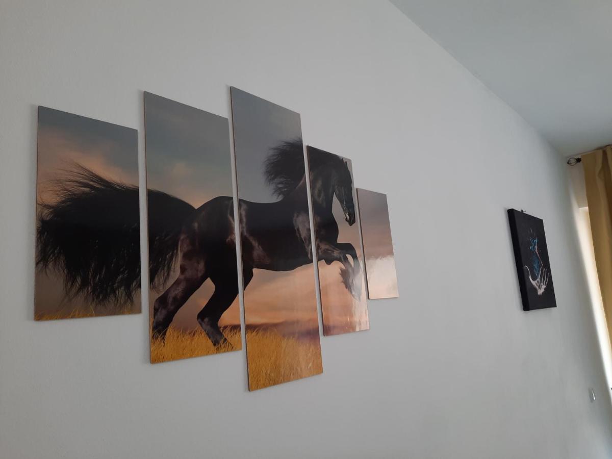 Apartament Erika ซินายา ภายนอก รูปภาพ