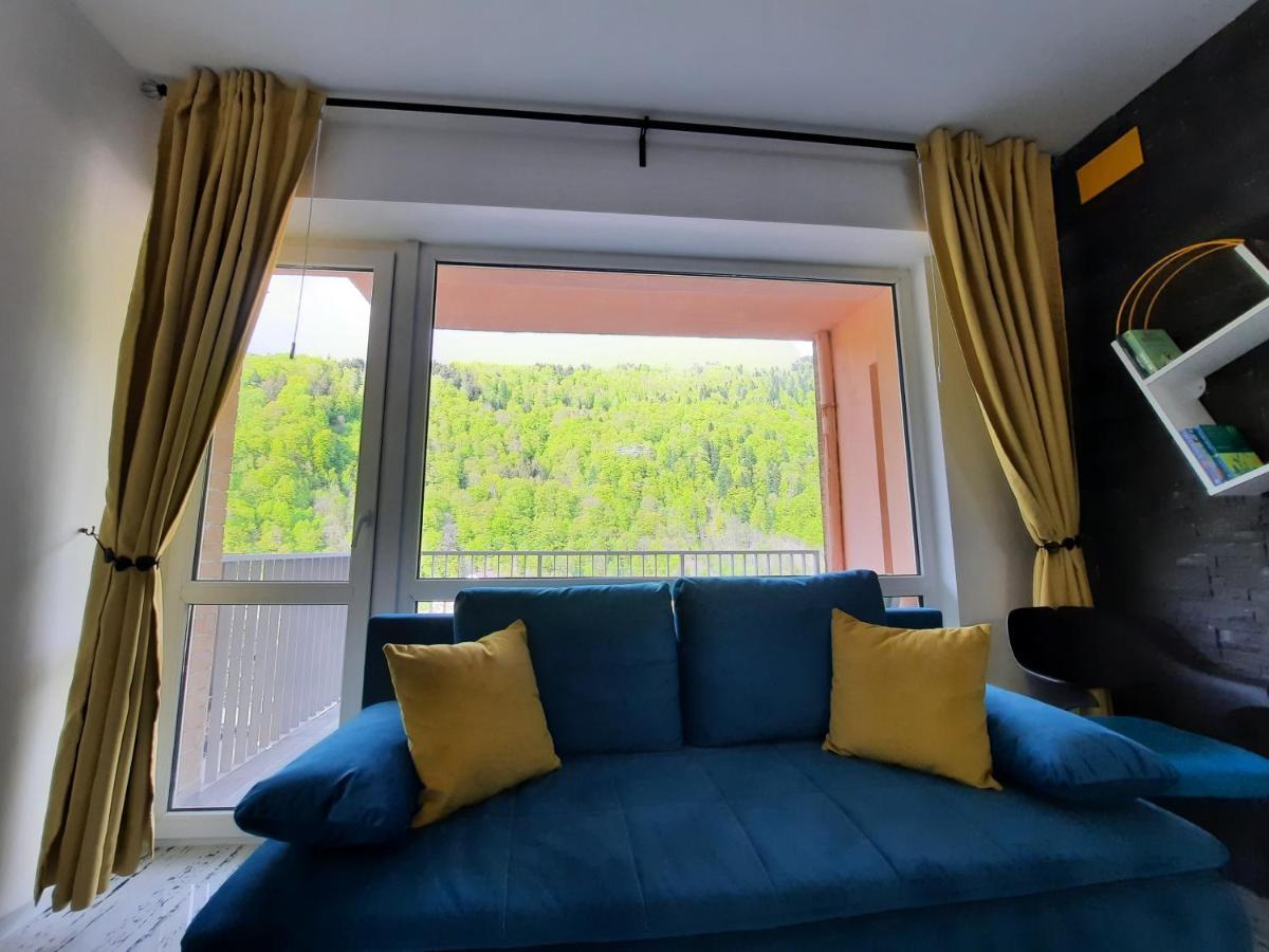 Apartament Erika ซินายา ภายนอก รูปภาพ