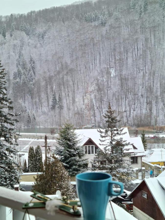 Apartament Erika ซินายา ภายนอก รูปภาพ