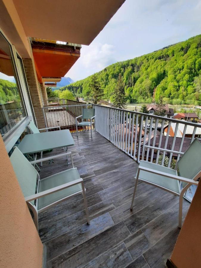 Apartament Erika ซินายา ภายนอก รูปภาพ