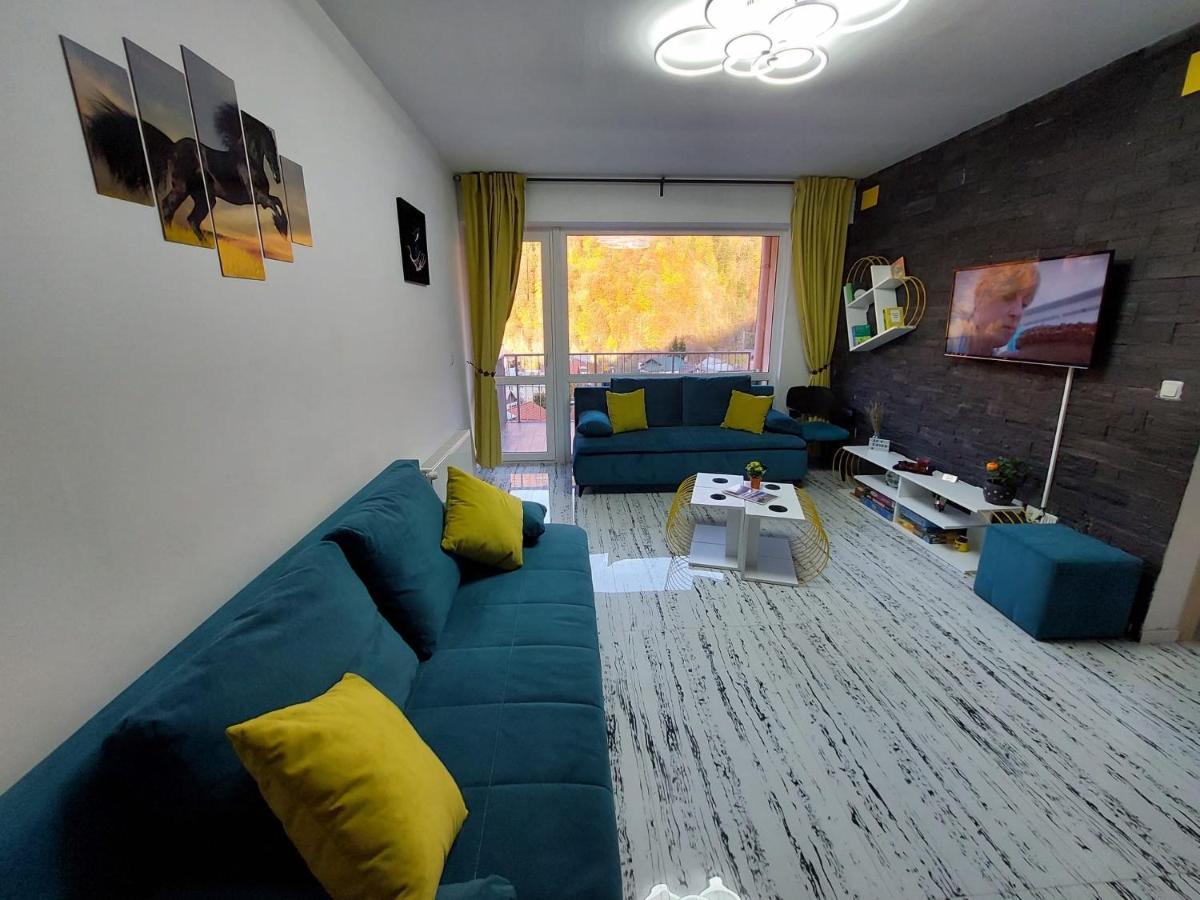 Apartament Erika ซินายา ภายนอก รูปภาพ