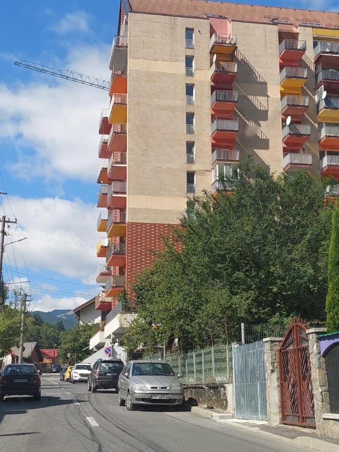Apartament Erika ซินายา ภายนอก รูปภาพ
