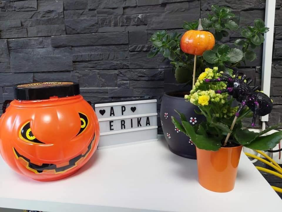 Apartament Erika ซินายา ภายนอก รูปภาพ